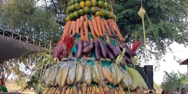 Meriahkan Sedekah Bumi 2024: Tradisi Syukur Panen Raya dan Perebutan Gunungan di Dusun Gorame
