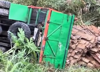 Kecelakaan Truk Muatan Kayu di Jembatan Desa Pamotan, Lamongan, Diduga Akibat Kondisi Jembatan yang Tidak Layak