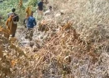 Kakek Ditemukan Meninggal Dunia Akibat Terjebak Kebakaran Rumpun Bambu di Bojonegoro