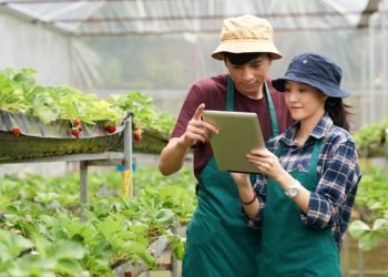 Gaji 10 Juta per Bulan, Program Petani Milenial Jadi Peluang Baru untuk Generasi Muda