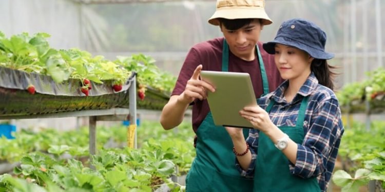 Gaji 10 Juta per Bulan, Program Petani Milenial Jadi Peluang Baru untuk Generasi Muda