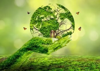 Investasi Energi Hijau Naik Signifikan, Indonesia Siap Wujudkan Transisi Energi Bersih