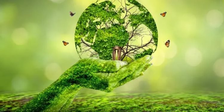 Investasi Energi Hijau Naik Signifikan, Indonesia Siap Wujudkan Transisi Energi Bersih