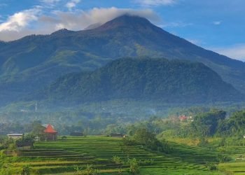 WKP Arjuno-Welirang: Menatap Masa Depan Energi Bersih di Jawa Timur