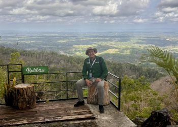 Target Swasembada Energi Dan Kelestarian Lingkungan Indonesia