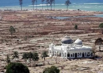 20 Tahun Tsunami Aceh: Peringatan Haru di Empat Negara, Kenangan Tak Terlupakan