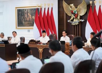 The Power of Political Will: Langkah Presiden Prabowo Menahan Kenaikan PPN