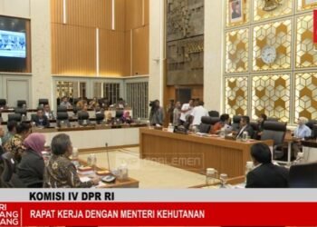 Kementrian Kehutanan