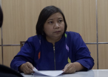 Komnas HAM: One Piece Bukan Ancaman, Itu Ekspresi!