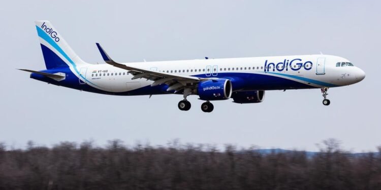 indigo