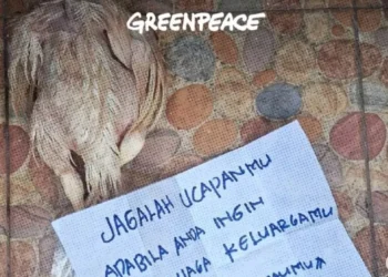 greenpeace