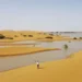 Sahara