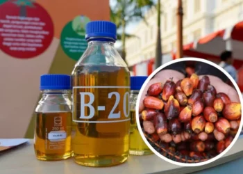 biodiesel b50