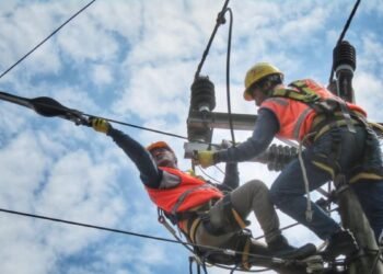 pln