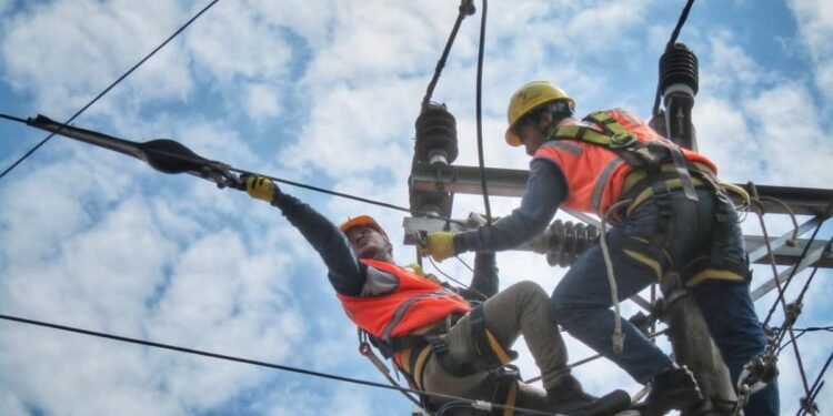 pln