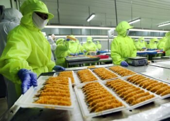 Perusahaan yang Dimiliki Kaesang Punya Utang Rp2,86 Triliun