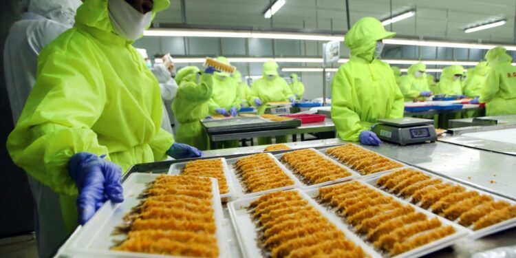 Perusahaan yang Dimiliki Kaesang Punya Utang Rp2,86 Triliun