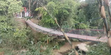 pongpet