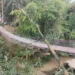pongpet