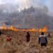 bromo