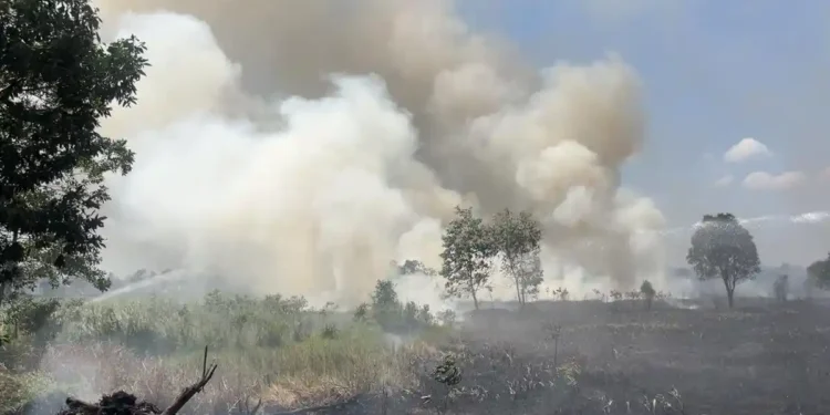 kalimantan