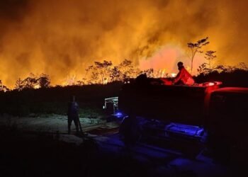 Karhutla Kaimantan Semakin Meluas, DPR Minta Status Darurat