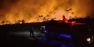 Karhutla Kaimantan Semakin Meluas, DPR Minta Status Darurat