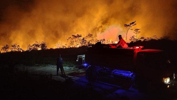 Karhutla Kaimantan Semakin Meluas, DPR Minta Status Darurat
