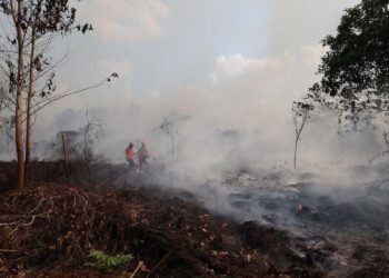 kalimantan