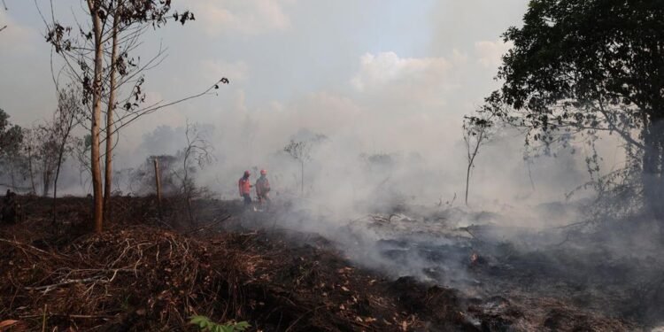 kalimantan