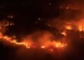 Karhutla Melanda Cagar Alam Merapi Ungup-Ungup Ijen