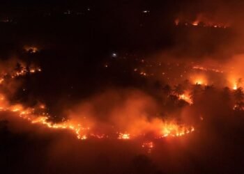 Karhutla Melanda Cagar Alam Merapi Ungup-Ungup Ijen