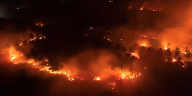 Karhutla Melanda Cagar Alam Merapi Ungup-Ungup Ijen