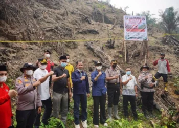 Bekas Karhutla 5,9 Hektare di Dharmasraya Ditanami Sawit