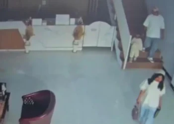 dwi