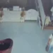 dwi