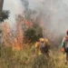Hutan Gunung Lawu Terbakar 100 Hektare, Berpotensi Merembet